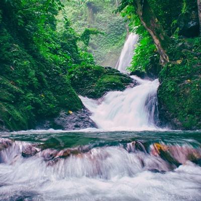 饥荒巨人国加速版下载